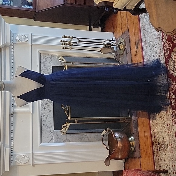 Windsor Elizabeth Pleated Tulle Maxi Dress - Picture 5 of 13